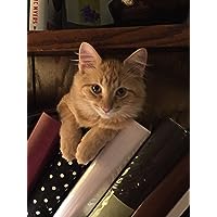Profile Image for Dorie  - Cats&Books :) .